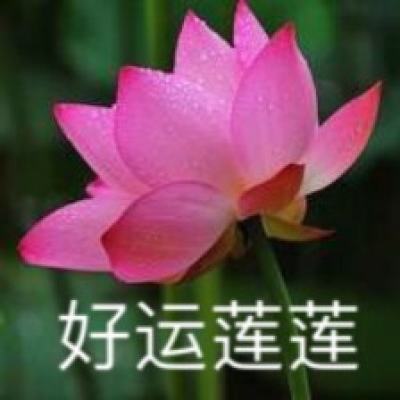 江苏句容：“赏花经济”促进农民增收